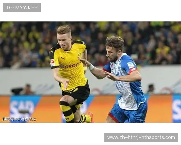 霍芬海姆霍村昵称的由来与传承解析与历史背景探讨